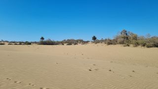 2023-GC--Mapalomas dunas-S123-108.jpg